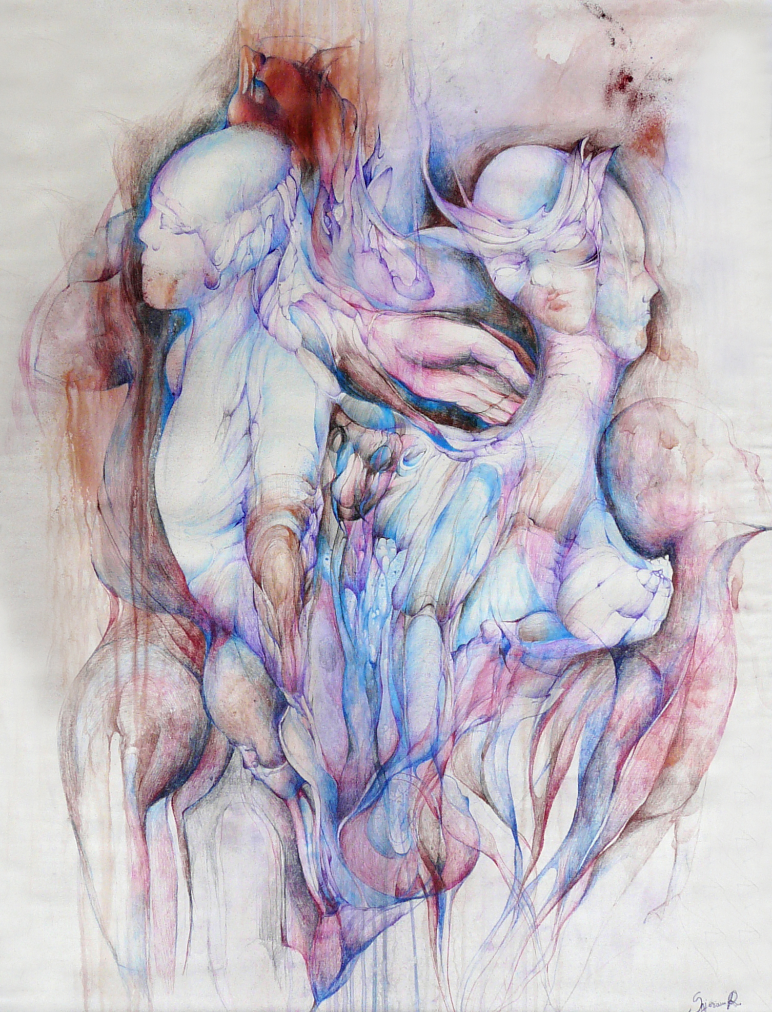 Androgeni 2 Androgeni 2